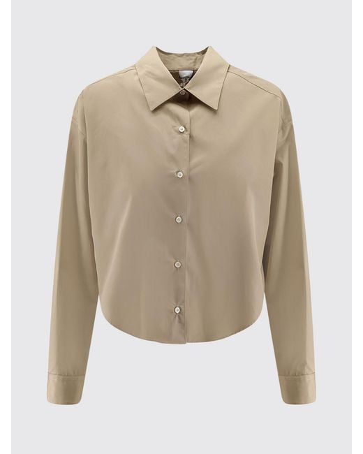 Aspesi Natural Cotton Classic Shirt