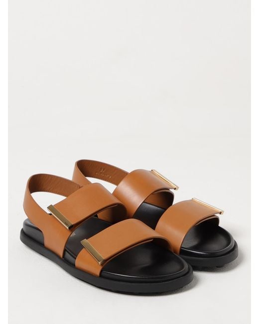 Tod's Multicolor Sandals Casual Design