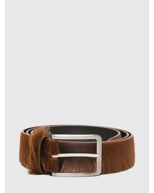 N°21 Brown Pony Hair Belt