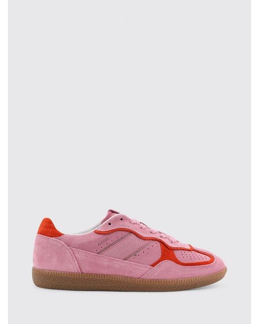 Alohas Pink Tb.490 Suede Sneakers