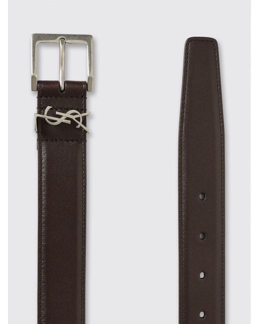Saint Laurent Brown Calfskin Leather Belt for men