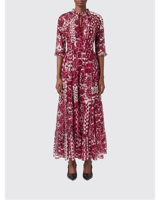Samantha Sung Red Eden A-Line Floral Print Cotton Midi Dress