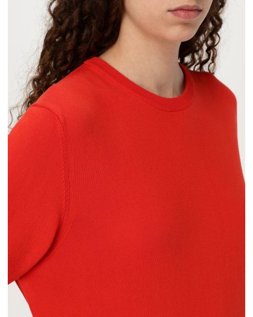Add Red Sweater