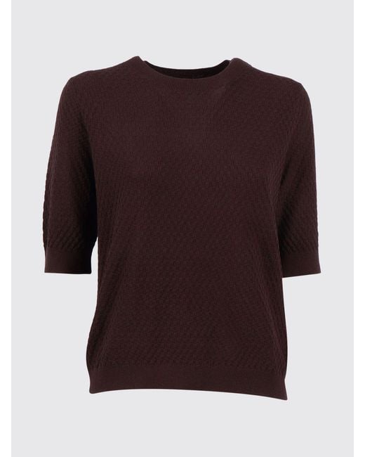 Jersey De Algodón Kangra de color Brown