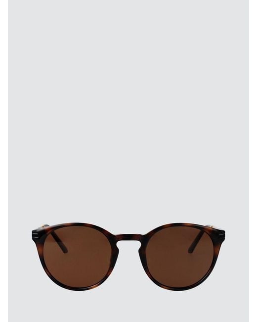 Calvin Klein Brown Rounded Tortoiseshell Acetate Sunglasses for men