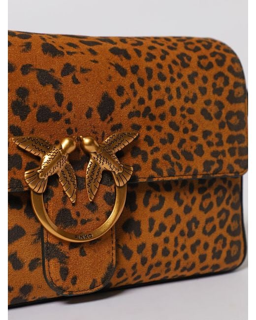 Pinko Brown Shoulder Bag
