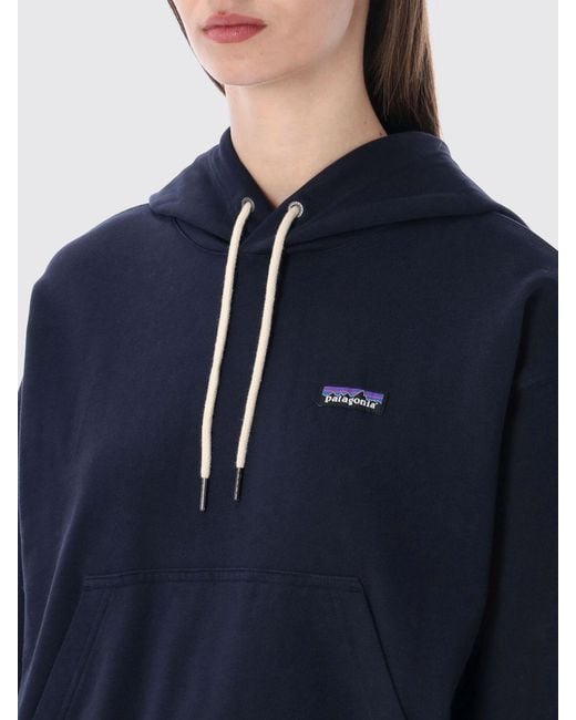 Patagonia Blue Organic Cotton Hooded Sweatshirt
