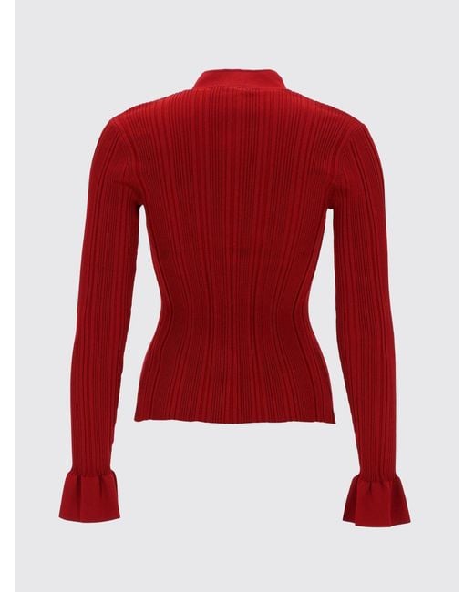 Self-Portrait Red Sweater