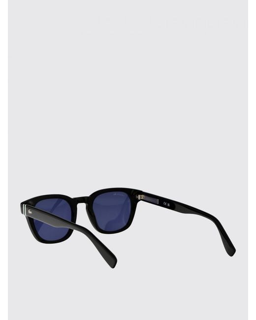 Lacoste Blue Acetate Sunglasses for men