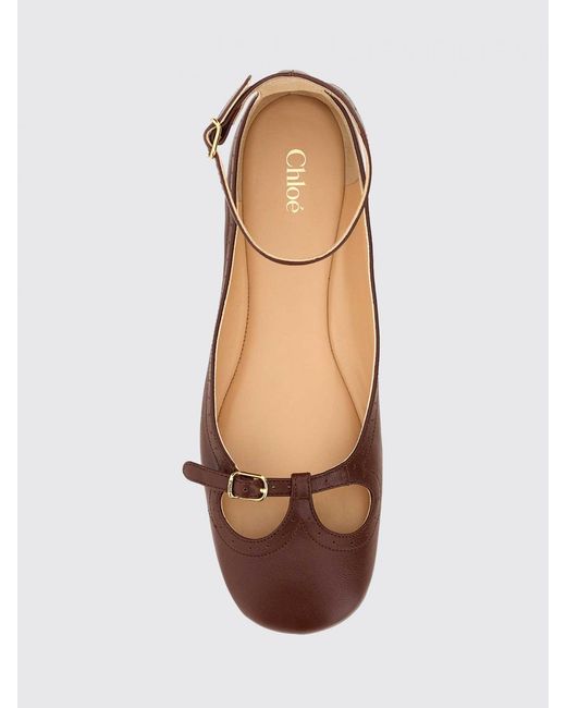 Chloé Brown ChloÉ Ballet Flat