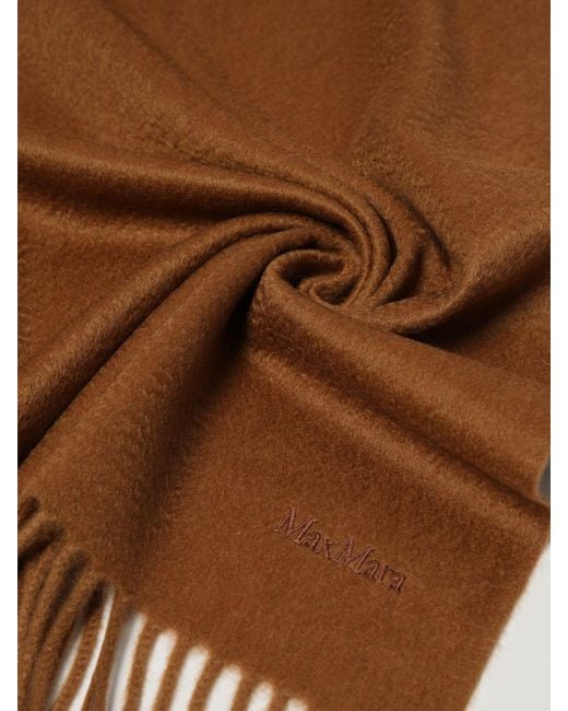 Sciarpa di Max Mara in Brown
