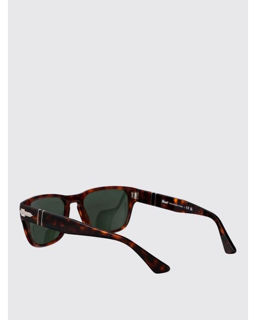 Persol Brown Acetate Sunglasses for men