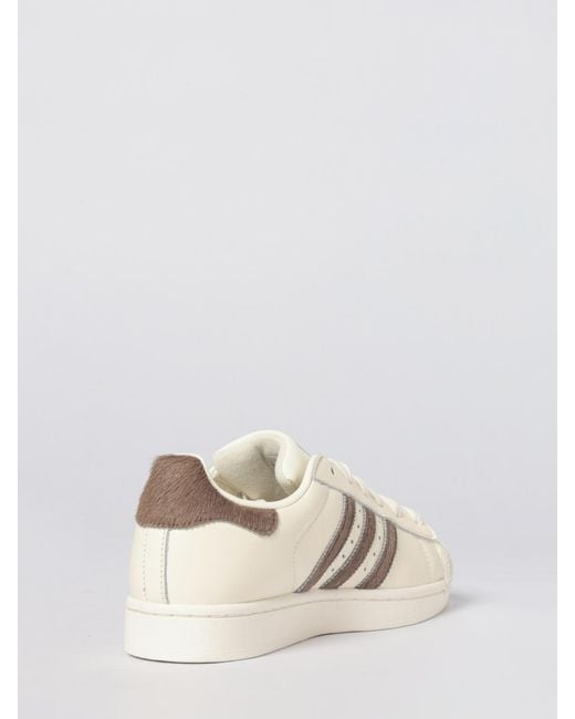 Adidas Originals Natural Superstar Ii Leather Sneakers