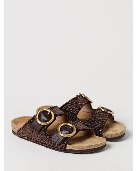 Maliparmi Brown Flat Sandals