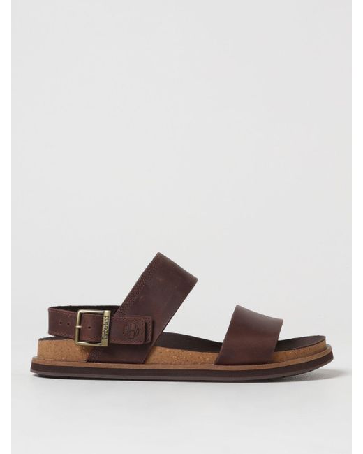 Timberland Brown Sandals for men