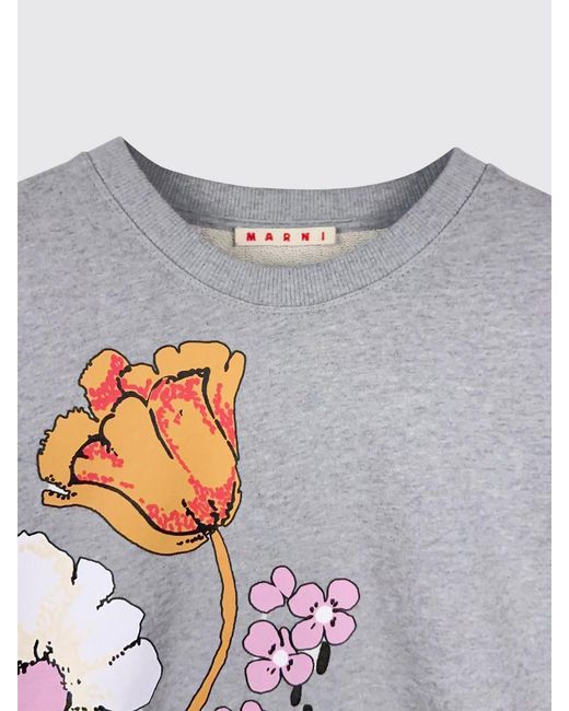 Marni Gray Sweater