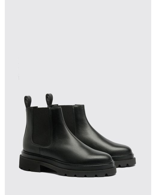 Santoni Black Shoes