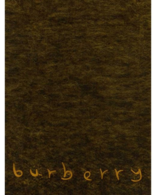 Sciarpa di Burberry in Green da Uomo