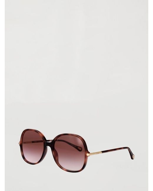 Chloé Multicolor Chlo&Eacute Ch0383S Acetate Sunglasses