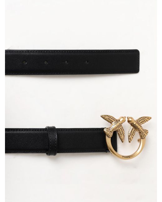 Pinko Black Belt