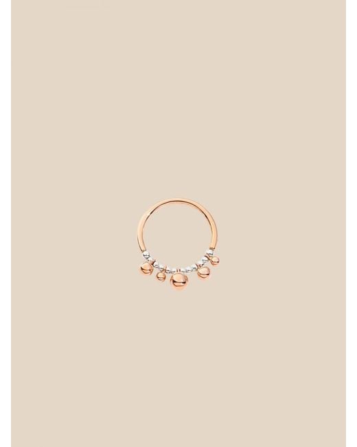 Dodo Natural Jewel