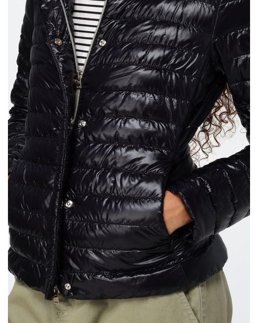 Herno Black Jacket
