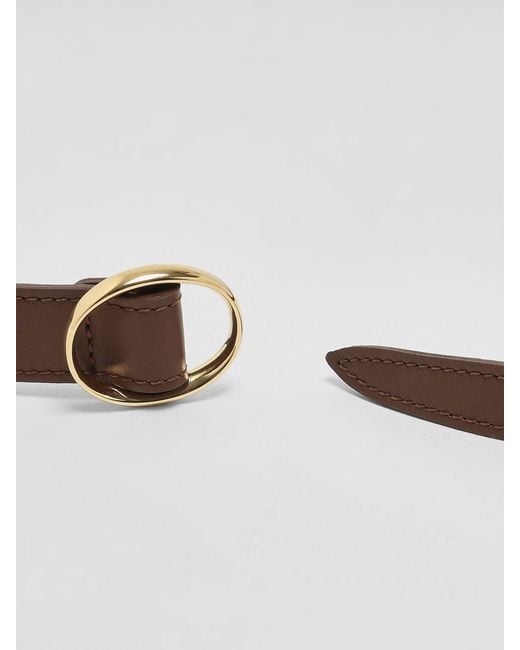 Orciani White Belt