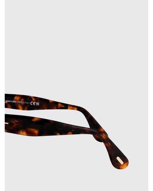 Tom Ford Brown Ft1217 Elvira Acetate Sunglasses