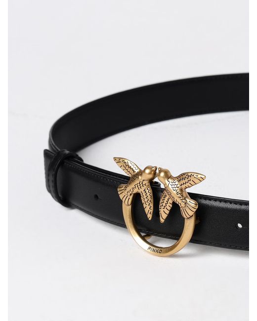 Pinko Black Belt