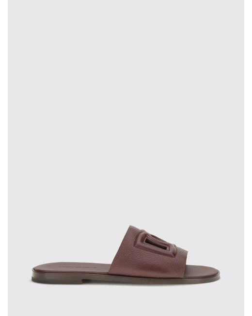 Dolce & Gabbana Brown Dolce &Amp Gabbana Sandals for men