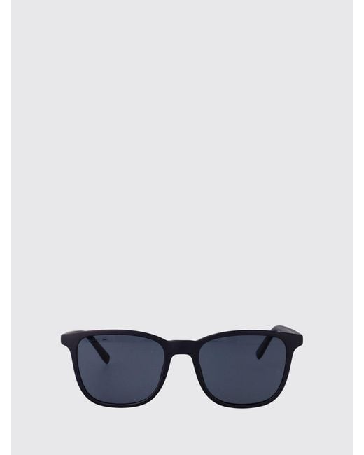 Lacoste Blue Rectangular Frame Aviator Sunglasses for men