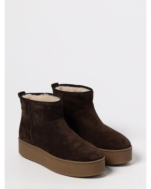 Hogan Brown Shoes