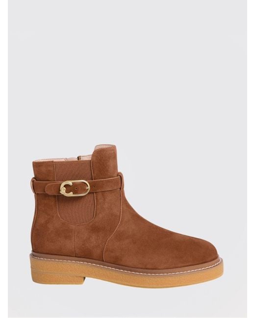 Coccinelle Brown Shoes