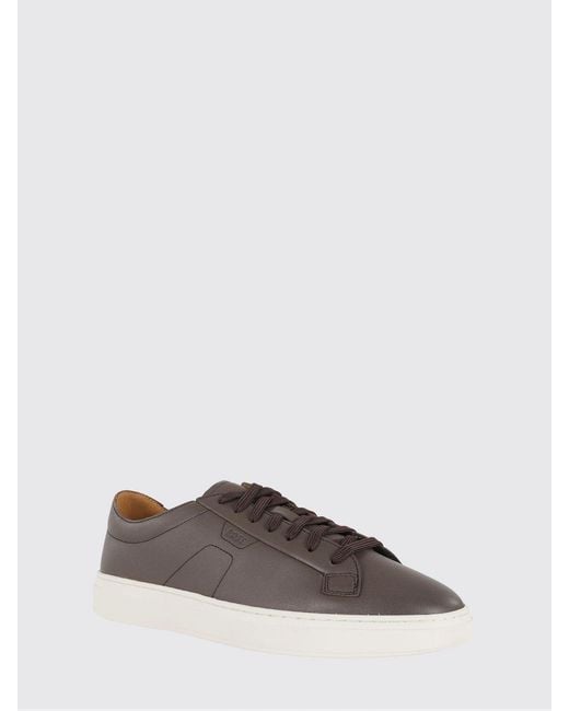 Boss Multicolor Leather Sneakers for men