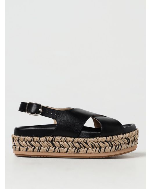 Paloma Barceló Black Schuhe Damen