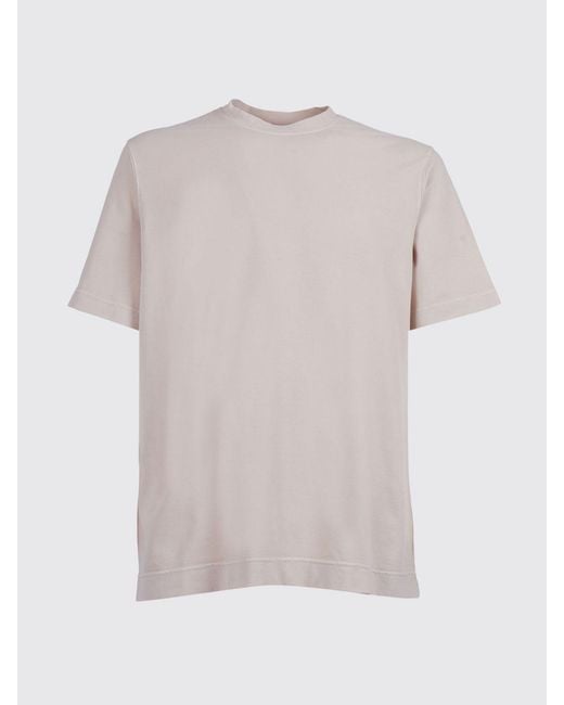 Circolo 1901 White Basic Cotton T-Shirt for men
