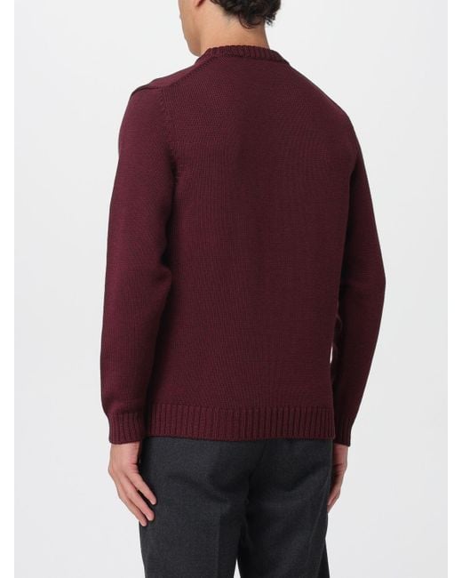 Sudadera Hombre Zanone de hombre de color Purple
