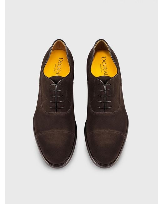 Doucal's Brown Suede Oxford Shoes for men