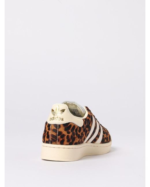 Adidas Originals Brown Sneakers
