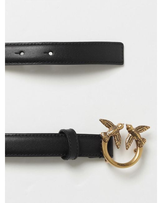 Pinko White Belt