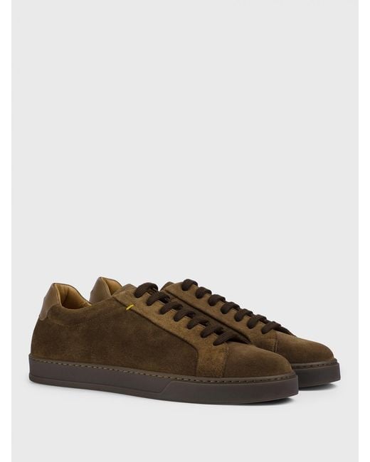 Doucal's Brown Suede Sneakers for men
