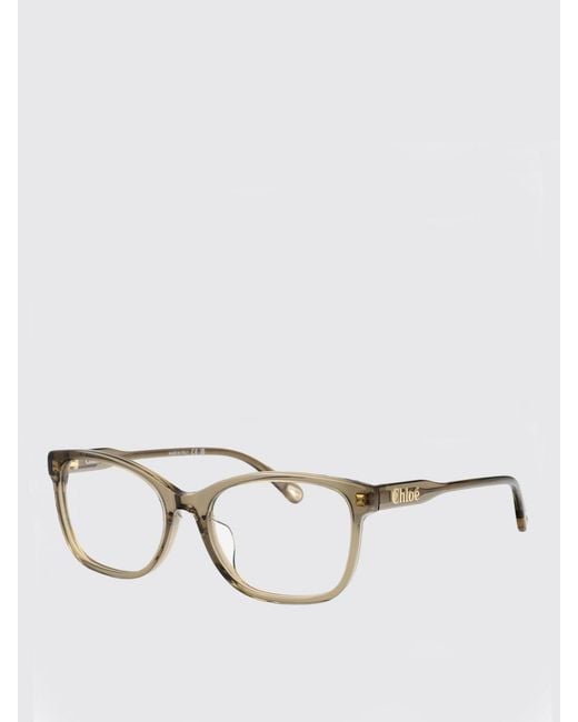 Chloé White ChloÉ Ch0161O Chloè Acetate Optical Glasses