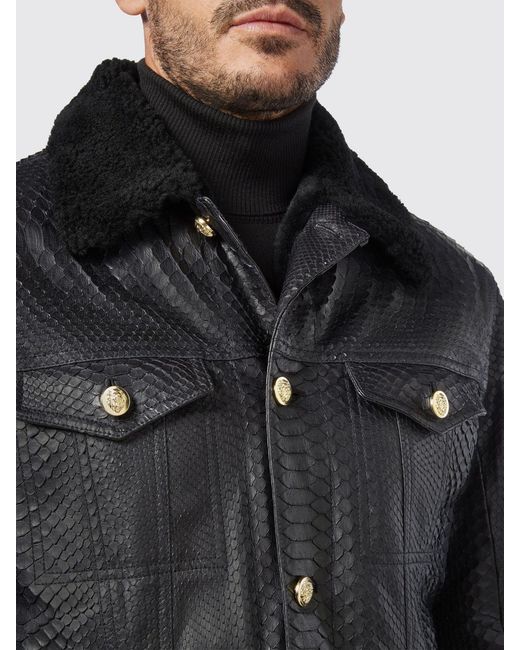 Billionaire Gray Python Leather Biker Jacket With Fur Collar for men