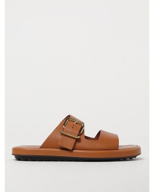 Tod's Brown Shoes