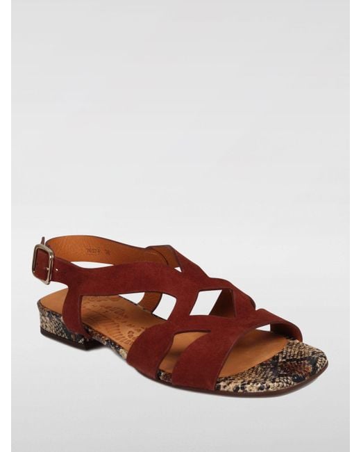 Sandales à talons Chie Mihara en coloris Brown