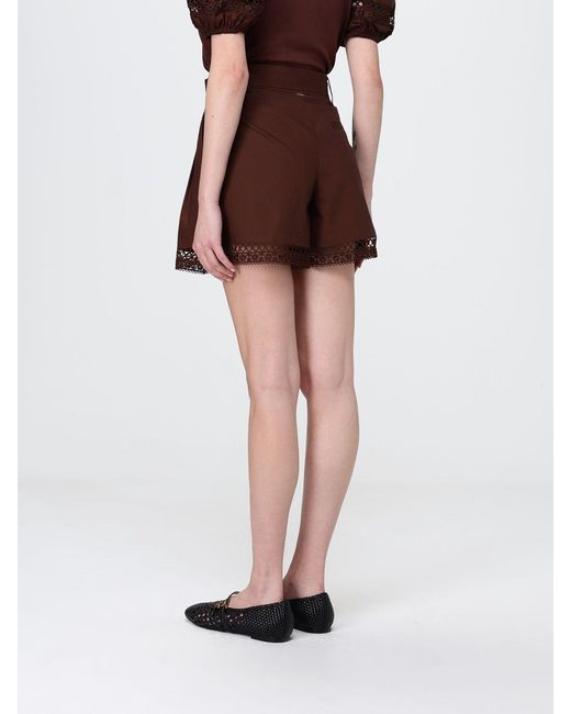 Twinset Brown Cotton Shorts With Belt