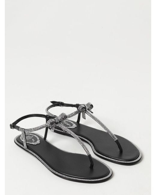 Rene Caovilla Black Flat Sandals