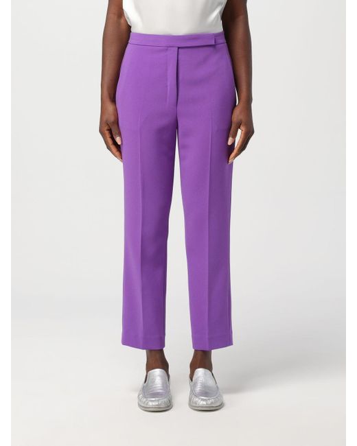 Theory Purple Pants
