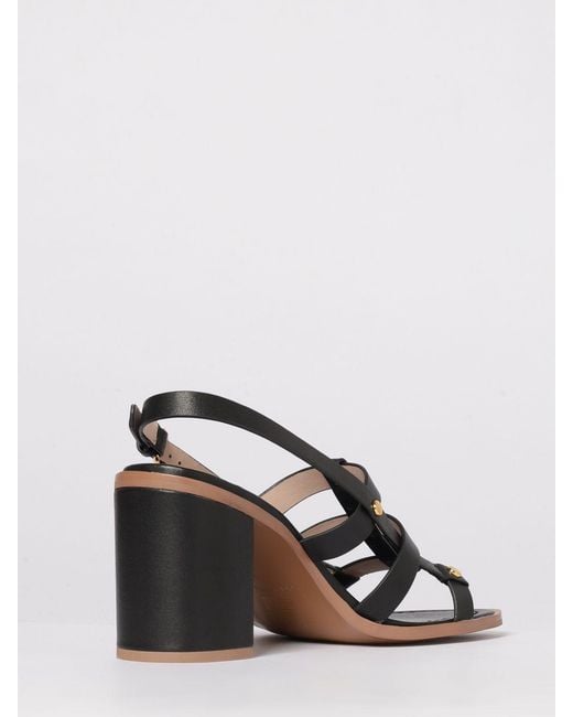 Coccinelle Black Leather Sandals