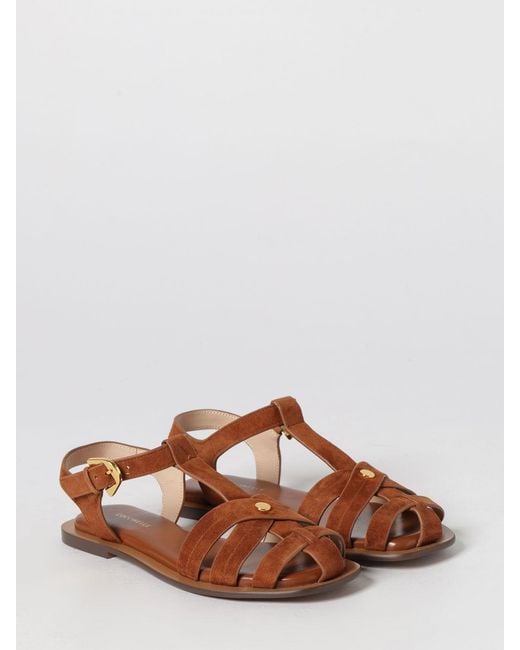 Coccinelle Brown Sunup Suede Sandals